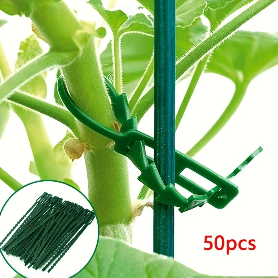 Vine Climbing Plastic - 50pcs Adjustable Plastic Plant Cable Ties