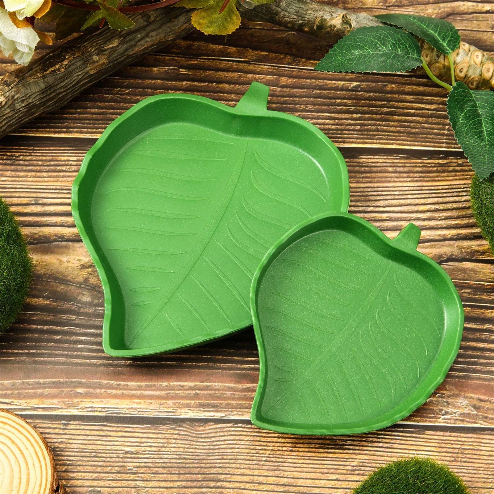 Turtle Feeding Bowl Reptile Fe - Water Dish Reptile avaliação e preço