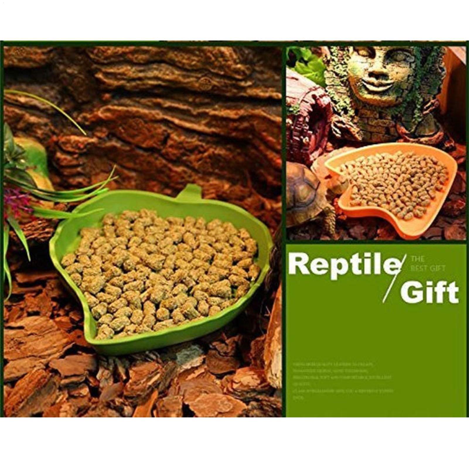 Turtle Feeding Bowl Reptile Fe - Water Dish Reptile avaliação e preço