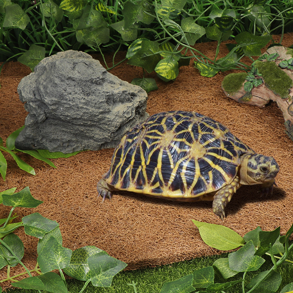 Reptile Thermal Substrate Carp - Substrate Coconut Fiber avaliação e preço