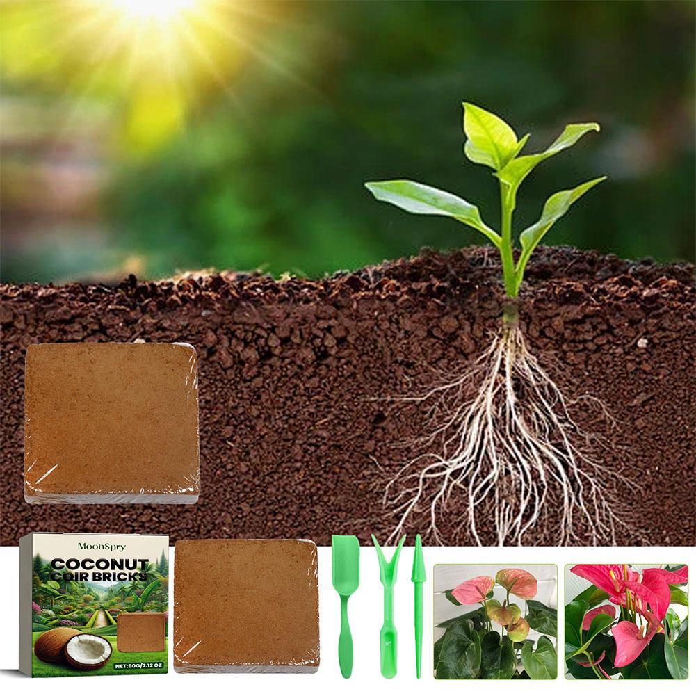 Reptile Coconut Soil Coir Pres - Substrate Coconut Fiber avaliação e preço
