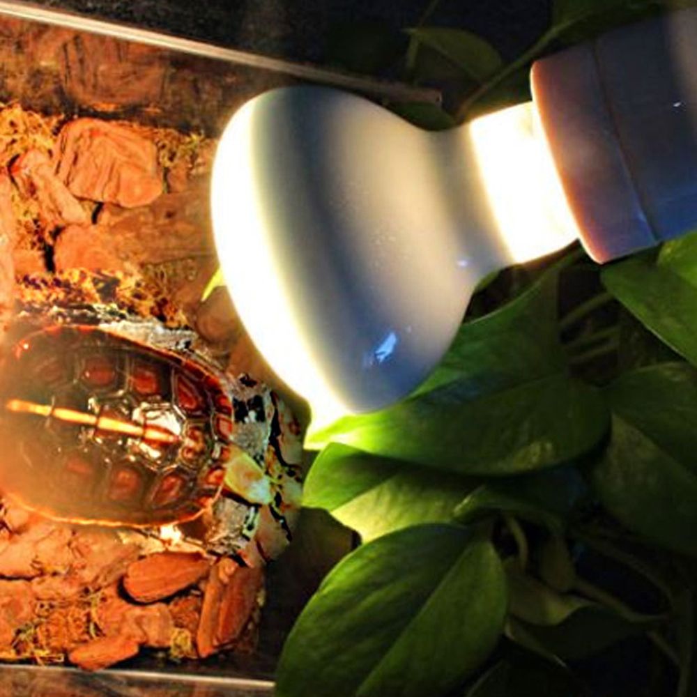Lizard Heater Temperature Cont - Basking Bulb Halogen avaliação e preço