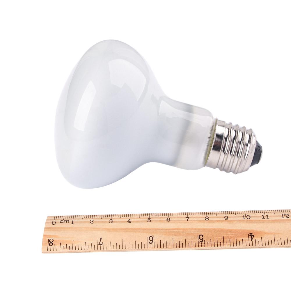 Lizard Heater Temperature Cont - Basking Bulb Halogen avaliação e preço