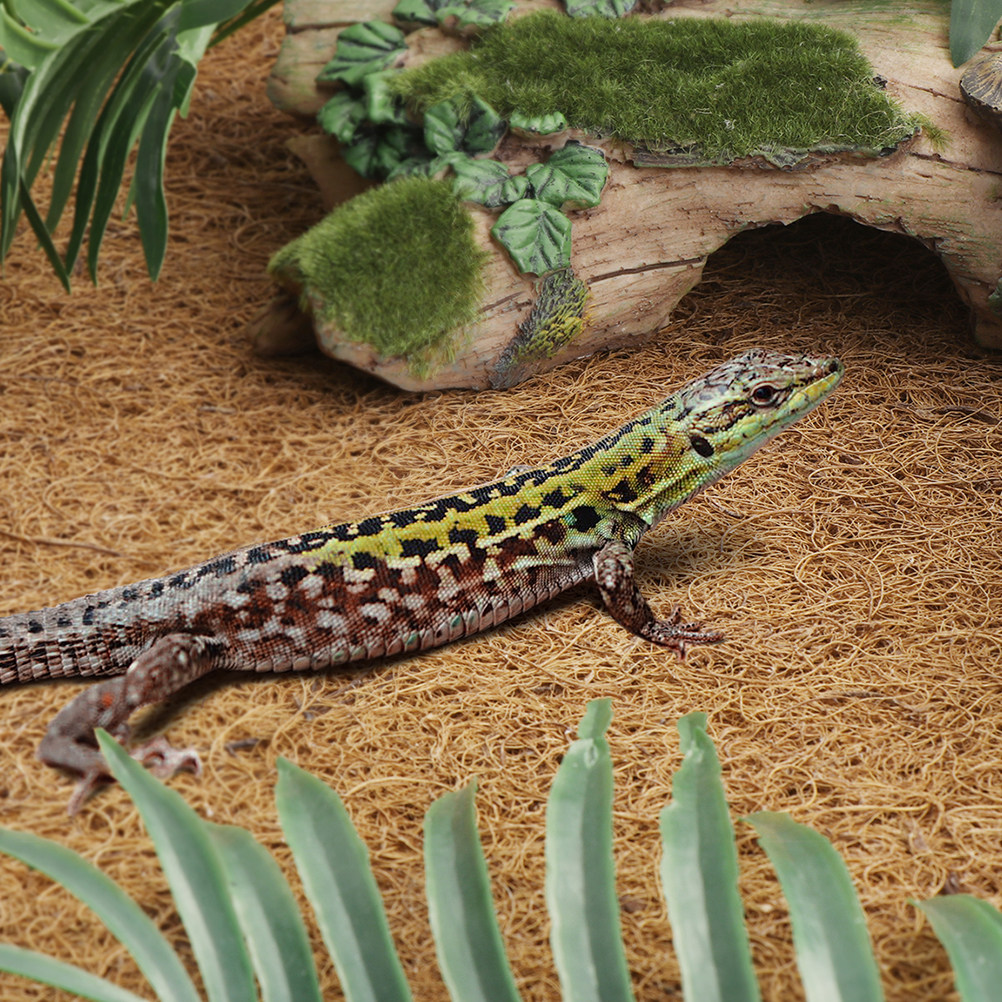 Coconut Fiber Reptile Mat Non- - Substrate Coconut Fiber avaliação e preço