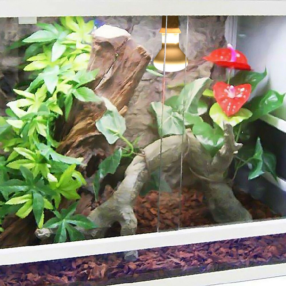 Lizard Temperature Controller  - Basking Bulb Halogen avaliação e preço