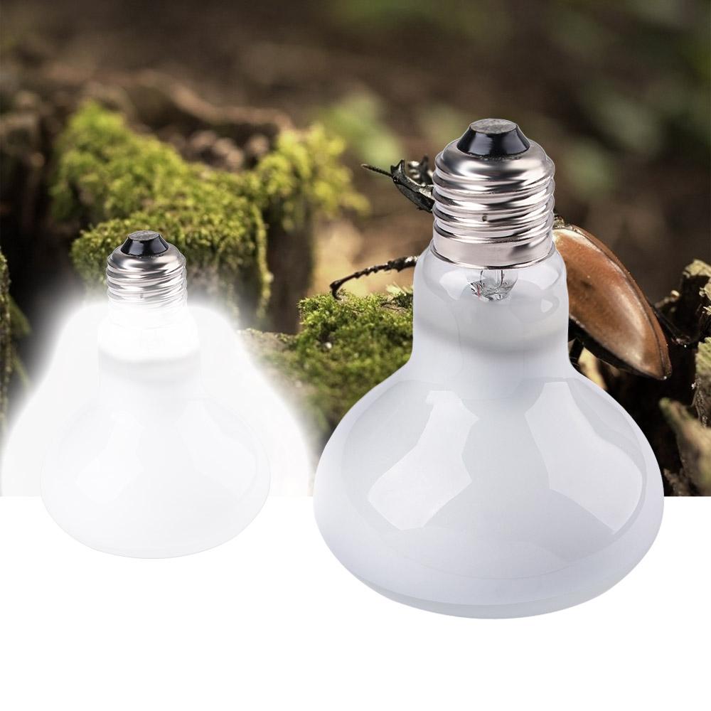 Amphibians Heater Temperature  - Basking Bulb Halogen avaliação e preço