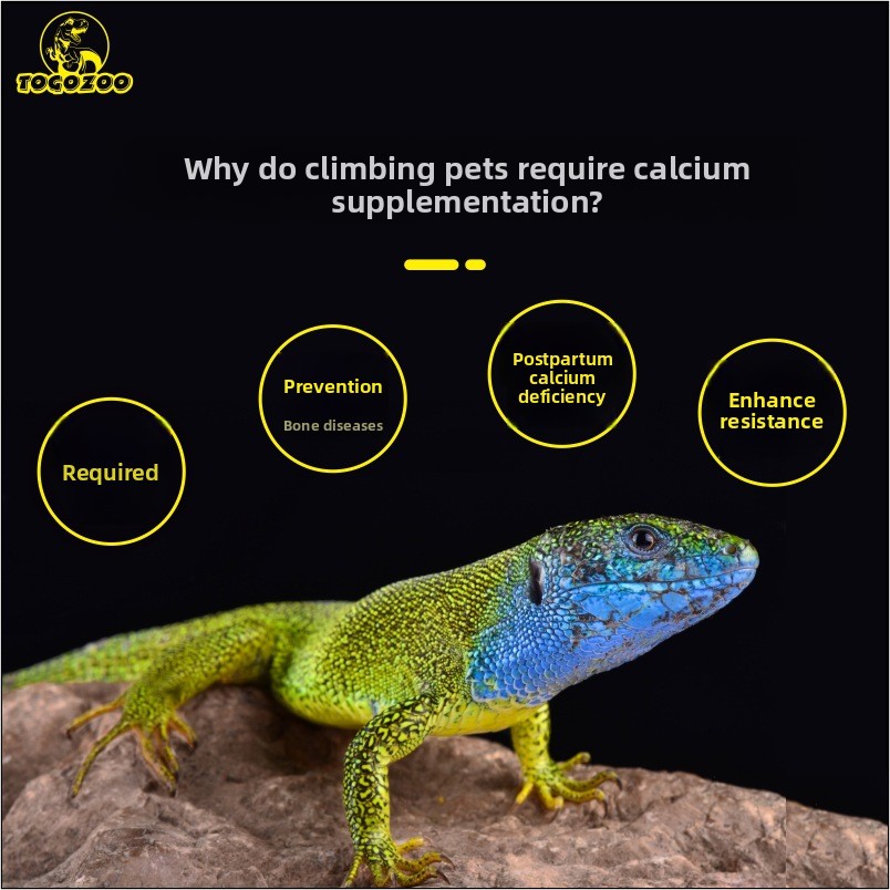 TOGOZOO WILDCAL Reptile Calciu - Calcium Powder Reptile avaliação e preço