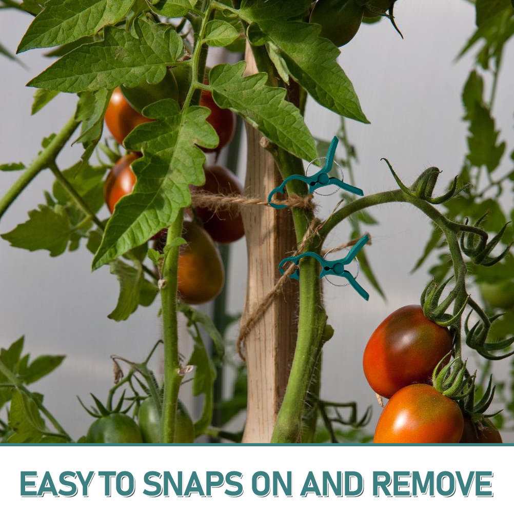 50Pcs Tomato Stem Support Clip - Vine Climbing Plastic avaliação e preço
