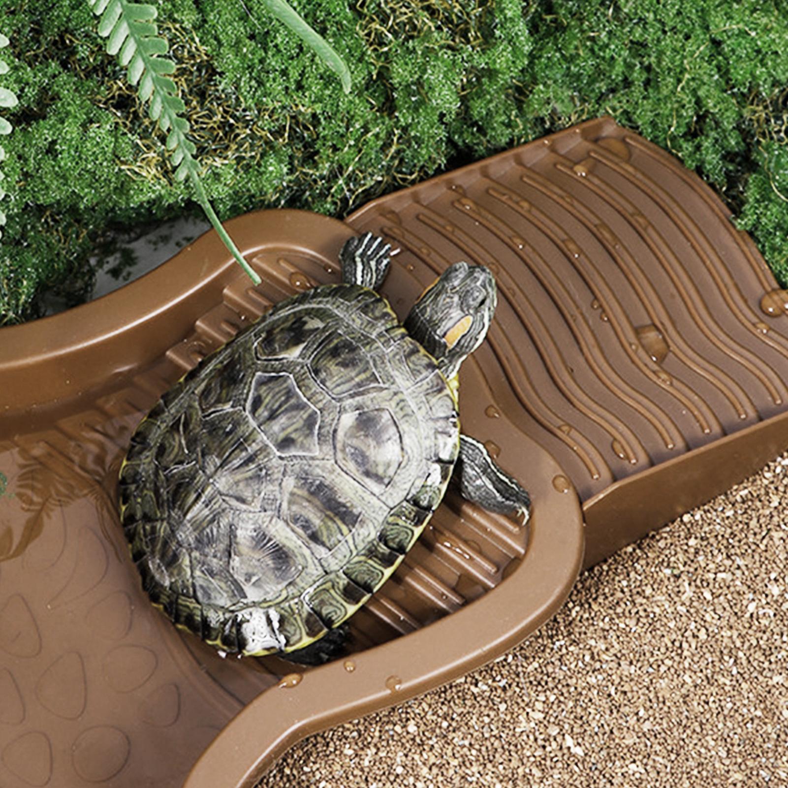 Reptile Bathing Pool with Ramp - Water Dish Reptile avaliação e preço