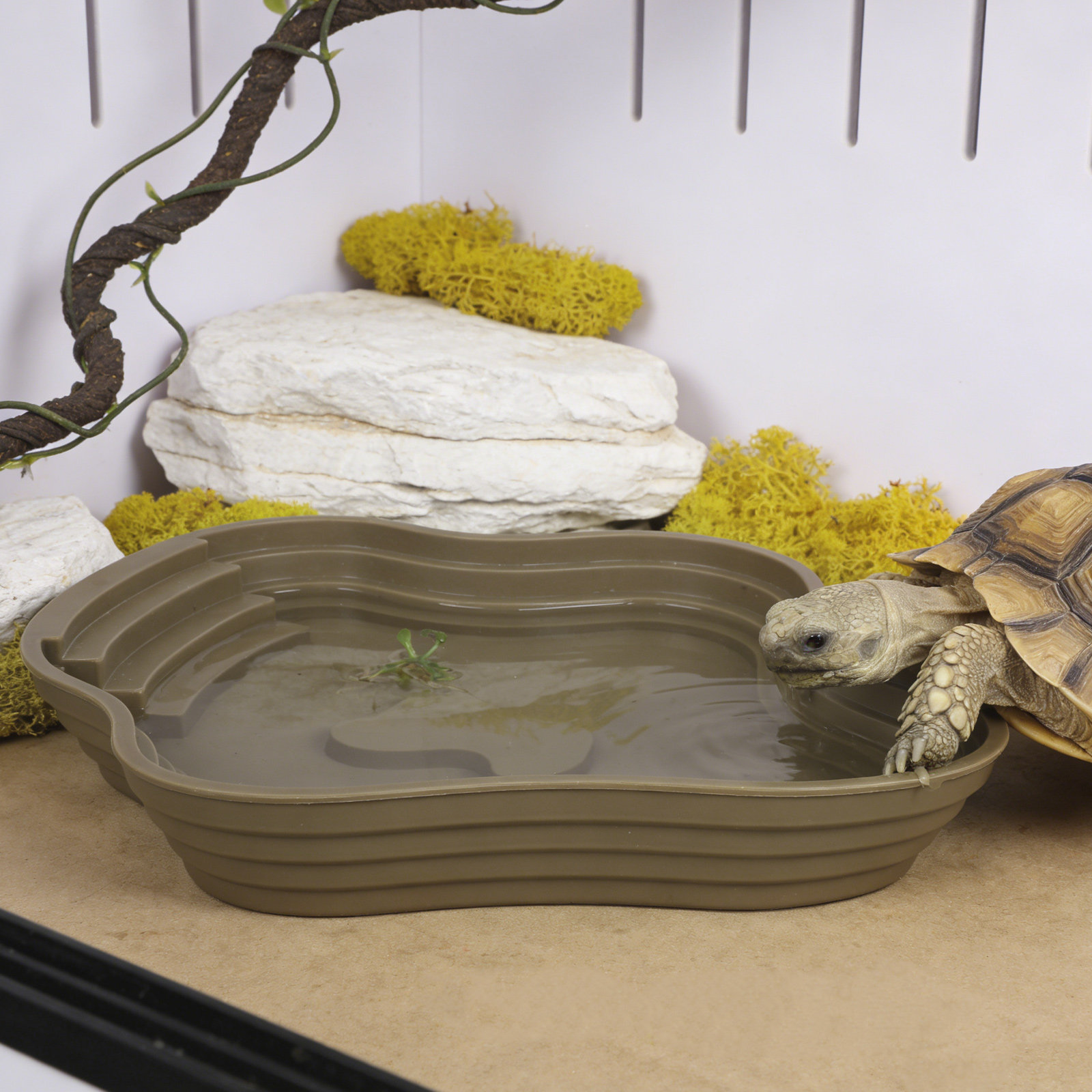 Large Turtle Reptile Bathing P - Water Dish Reptile avaliação e preço