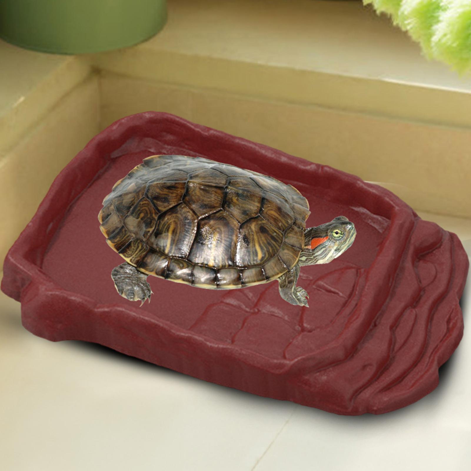 Turtle Water Dish With Anti-Sl - Water Dish Reptile avaliação e preço