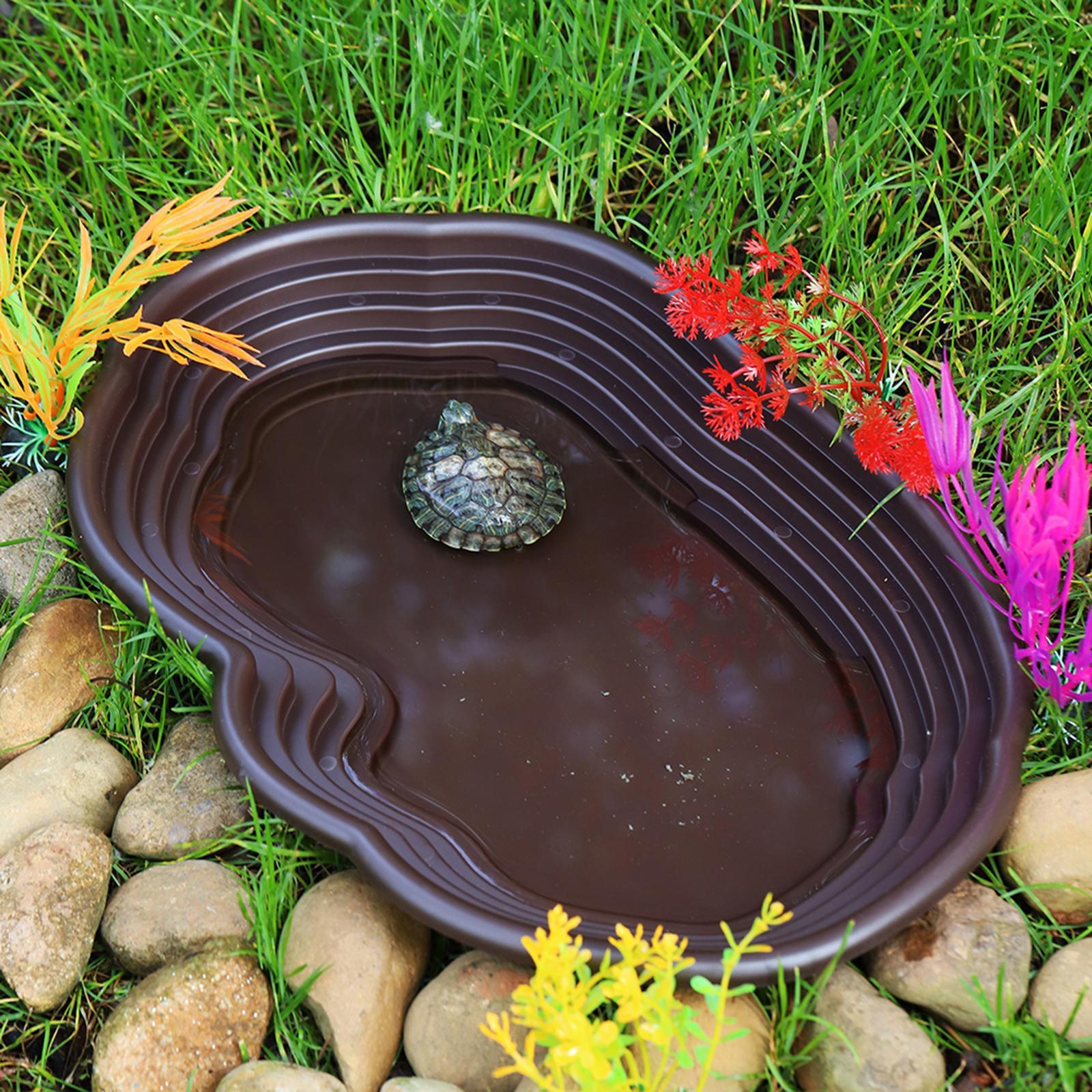 Reptile Bathing Dish Tortoise  - Water Dish Reptile avaliação e preço