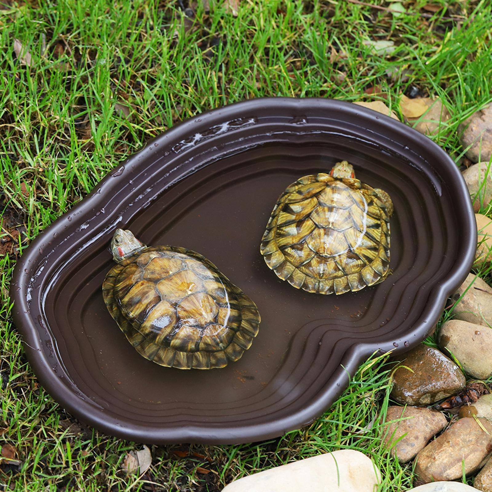 Reptile Bathing Dish Tortoise  - Water Dish Reptile avaliação e preço