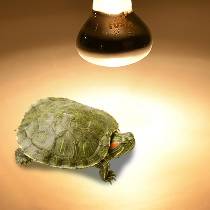 Pet Heating Lamp E27 Day Night - Ceramic Heat Emitter avaliação e preço