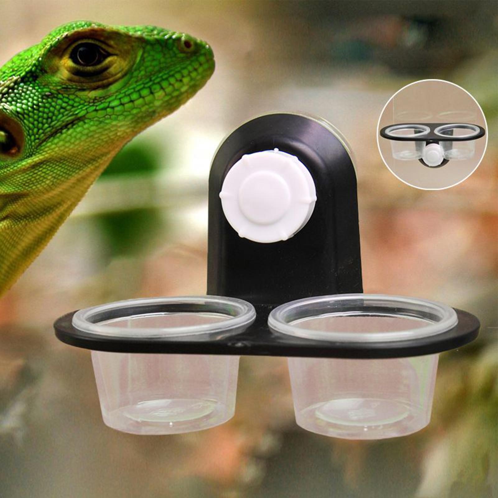 Gecko Food Dish Gecko Feeding  - Water Dish Reptile avaliação e preço