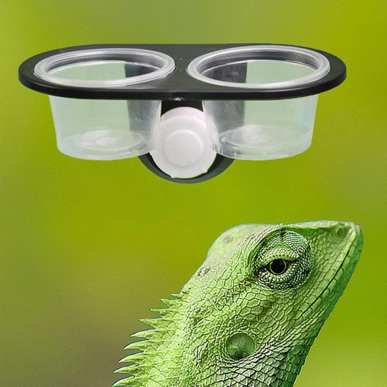 Gecko Food Dish Gecko Feeding  - Water Dish Reptile avaliação e preço