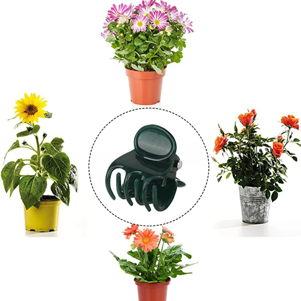 Phalaenopsis Orchid Support Cl - Vine Climbing Plastic avaliação e preço