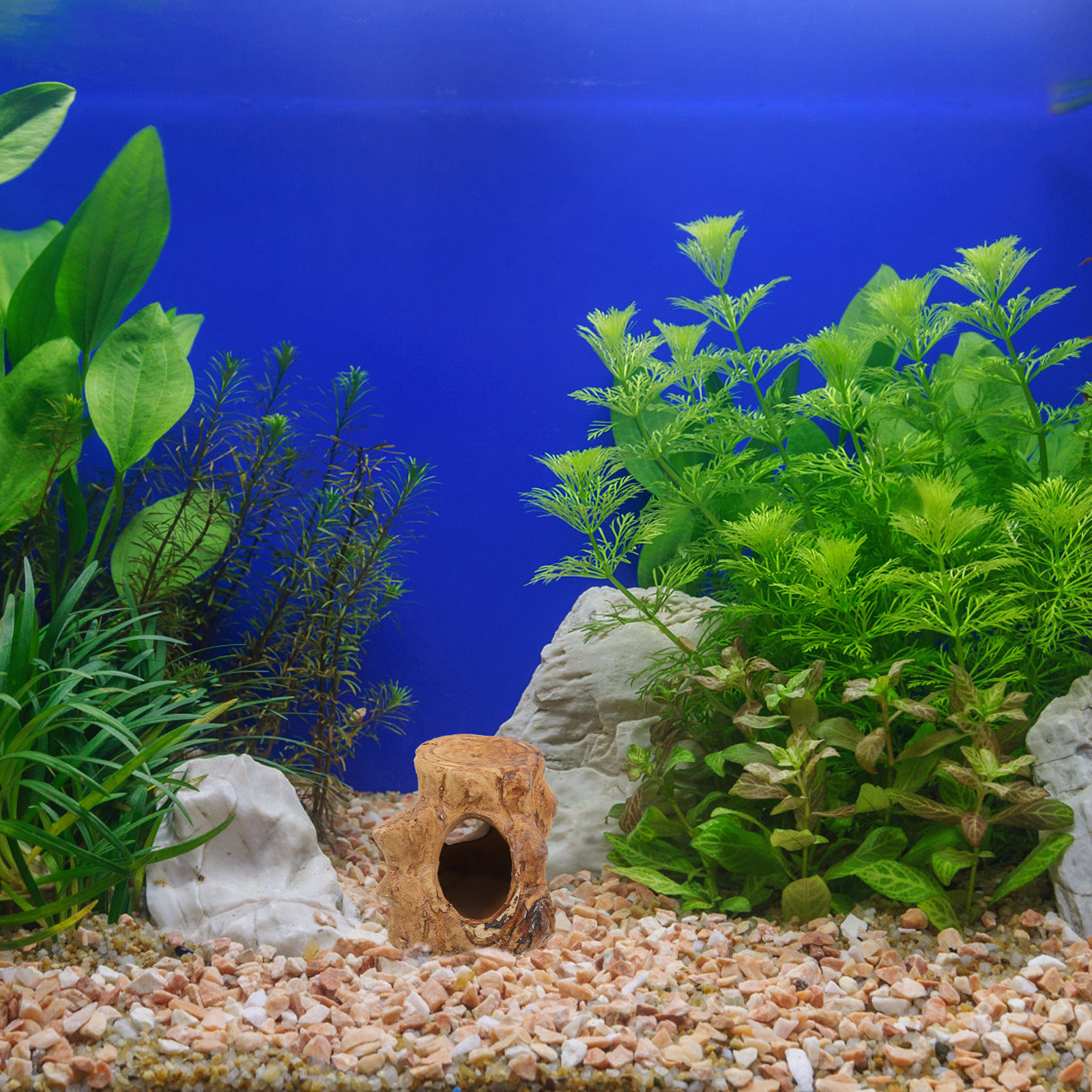 Pleco Caves Fish Tank Decorati - Hide Cave Ceramic avaliação e preço