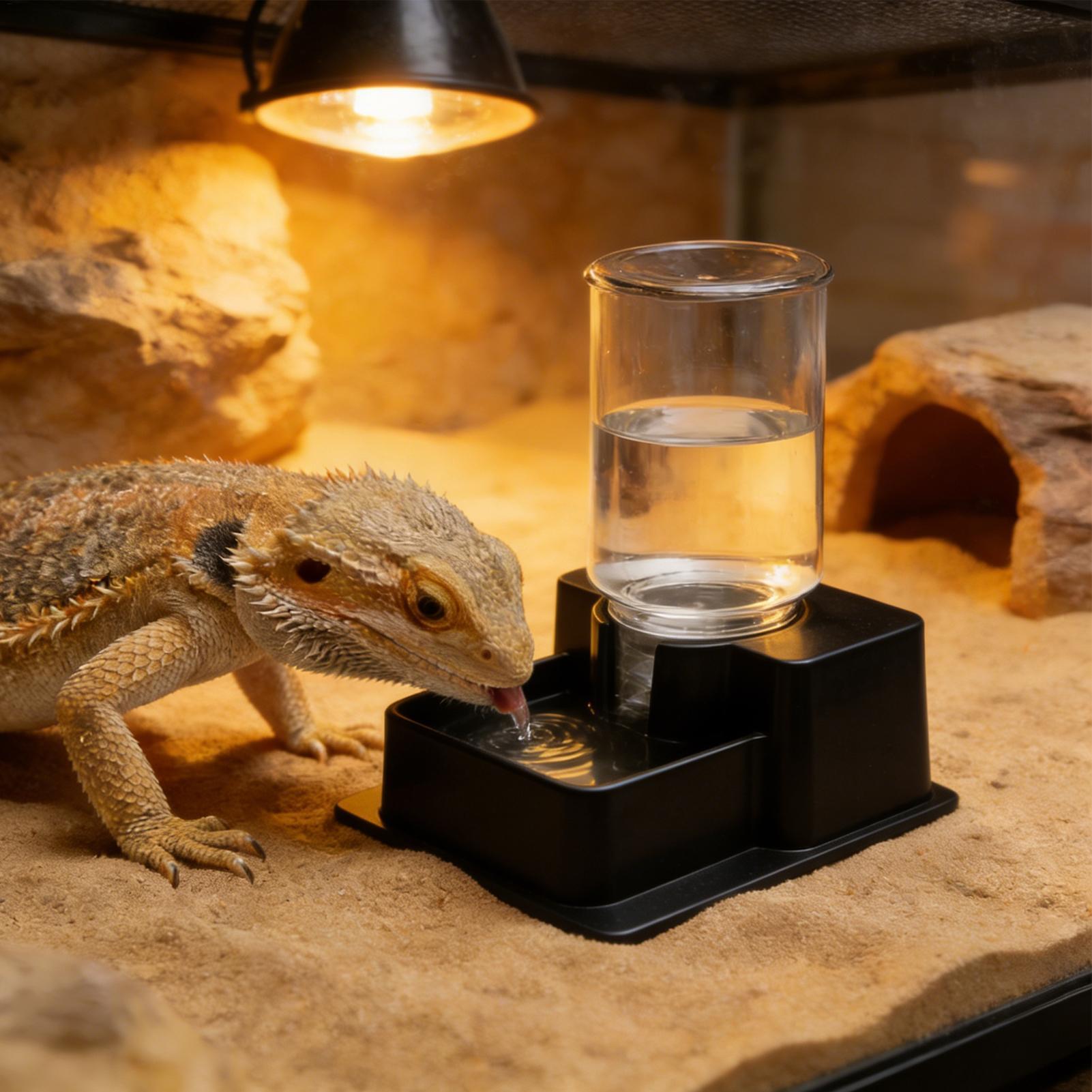 Bearded Dragon Water Fountain  - Water Dish Reptile avaliação e preço