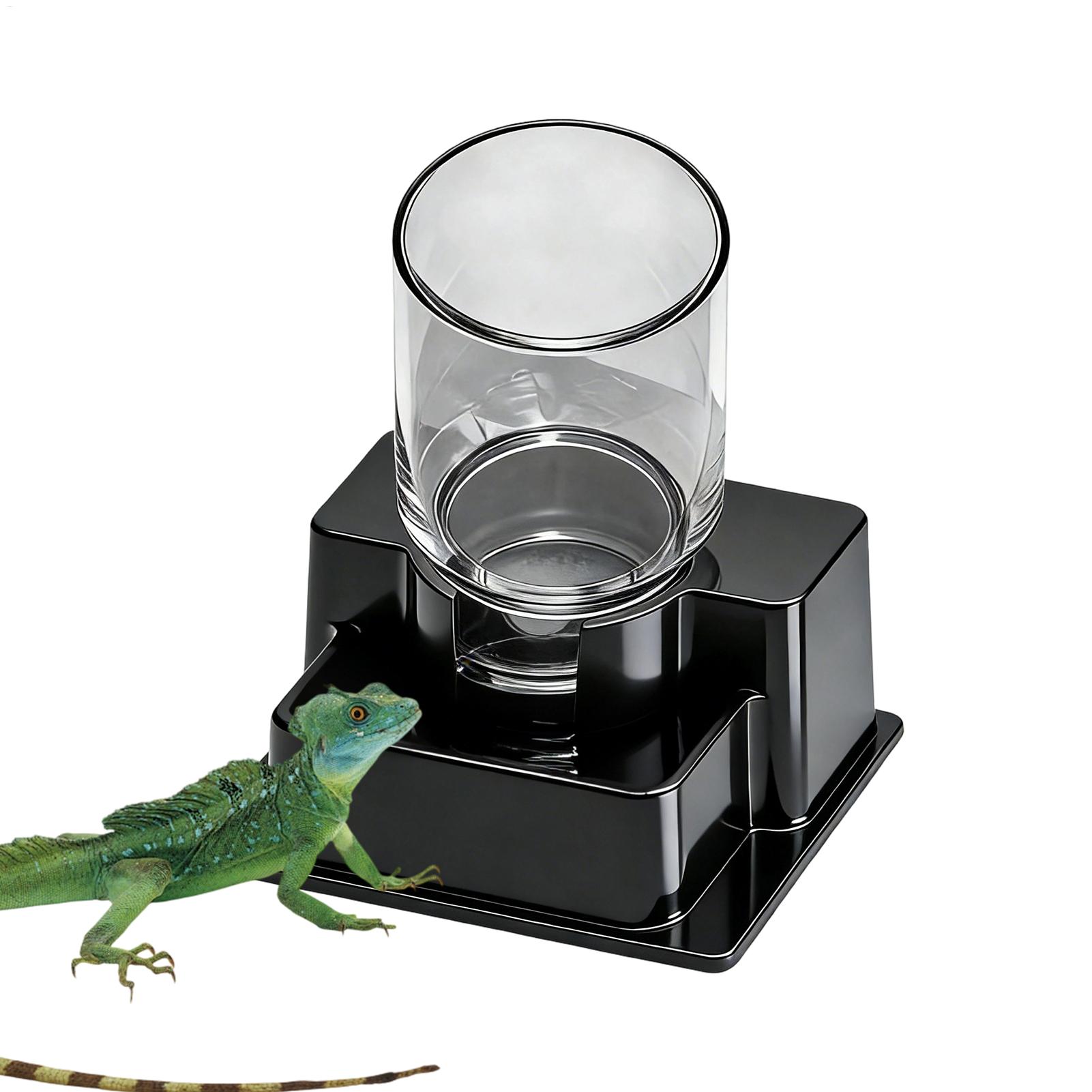 Bearded Dragon Water Fountain  - Water Dish Reptile avaliação e preço