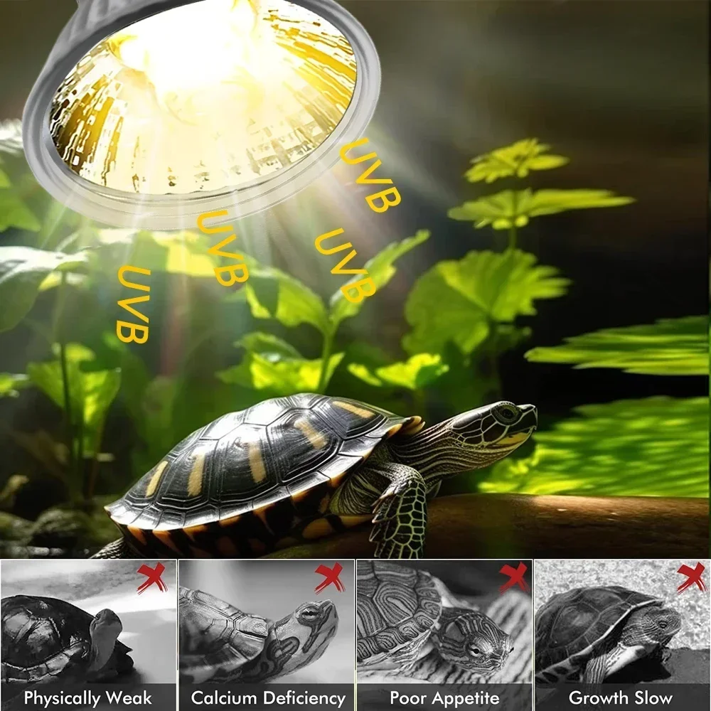 75/50/25W Tortoise Lizard Bask - Calcium Powder Reptile avaliação e preço