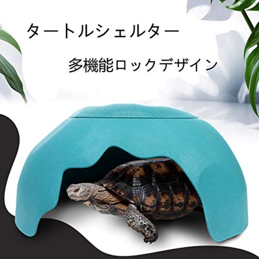 【Spot goods】Reptiles House wit - Hide Cave Ceramic avaliação e preço