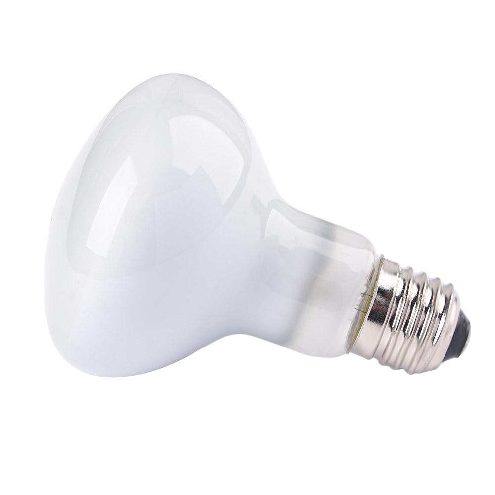 Turtle Temperature Controller  - Basking Bulb Halogen avaliação e preço