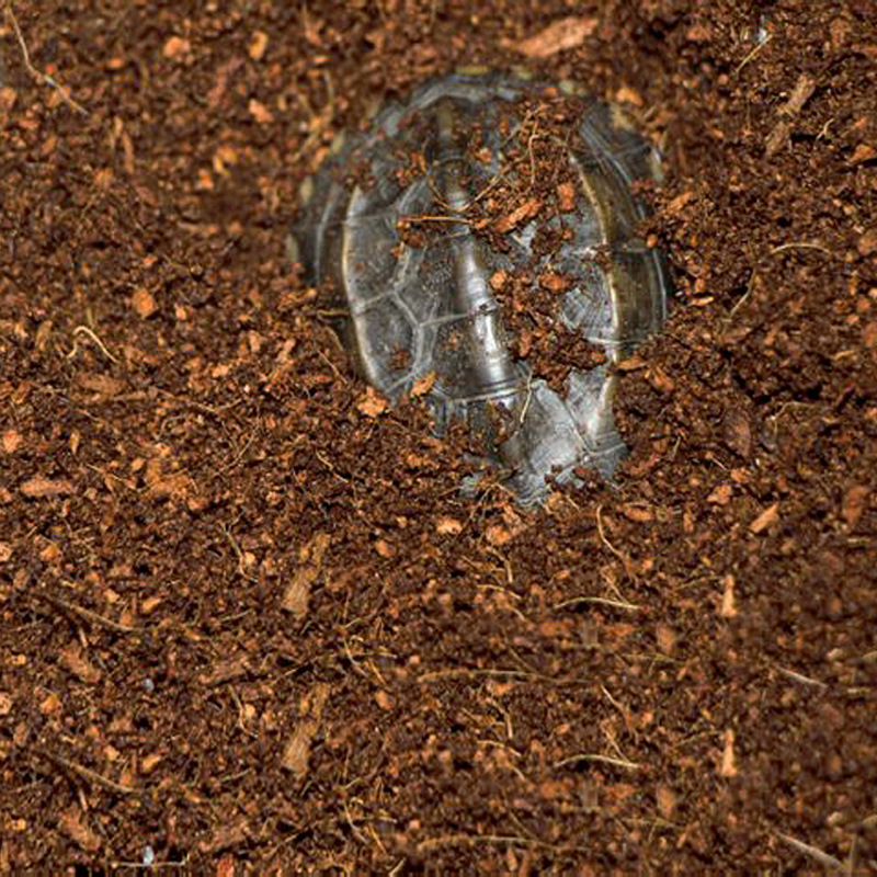 WAJABABY Ready-to-Use Coco Coi - Substrate Coconut Fiber avaliação e preço