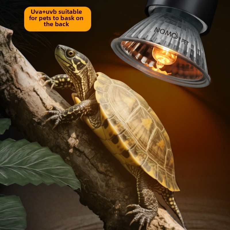 NOMOY 25/50/75w UVB 3.0 Reptil - Vitamin D3 Reptile avaliação e preço