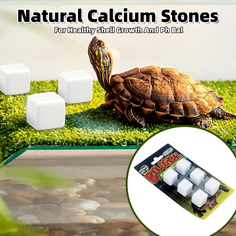 6 Pcs Fish Tank Calcium Block  - Calcium Powder Reptile avaliação e preço