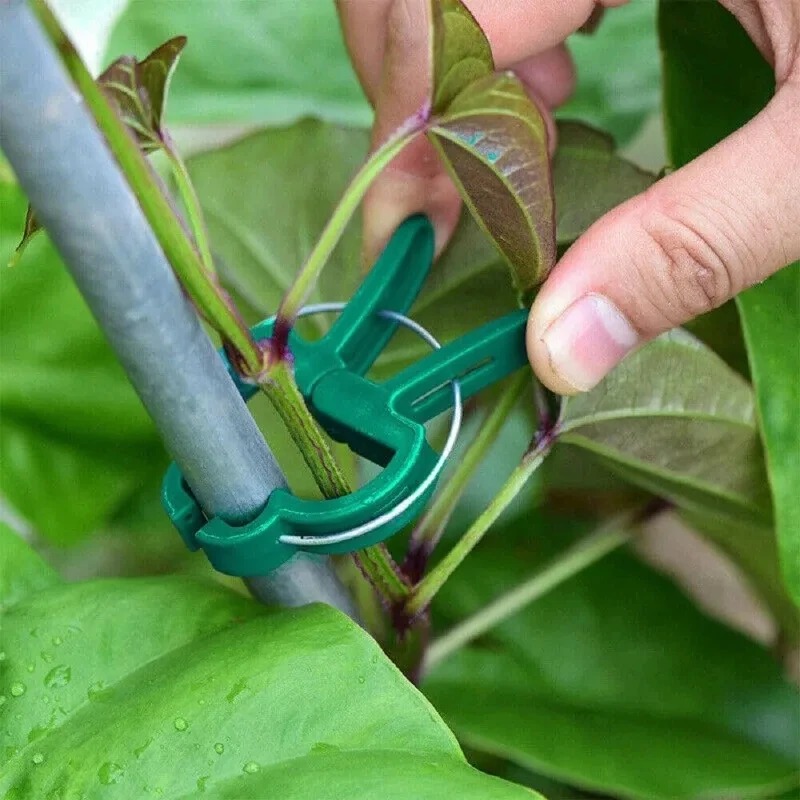 50 Reusable Plant Fixed Clips, - Vine Climbing Plastic avaliação e preço