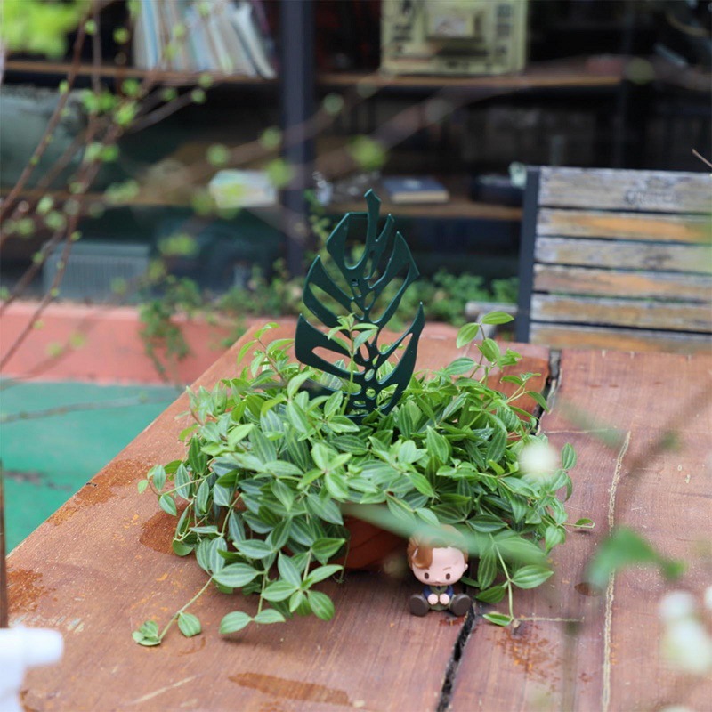 Plant Climbing Support Stand F - Vine Climbing Plastic avaliação e preço