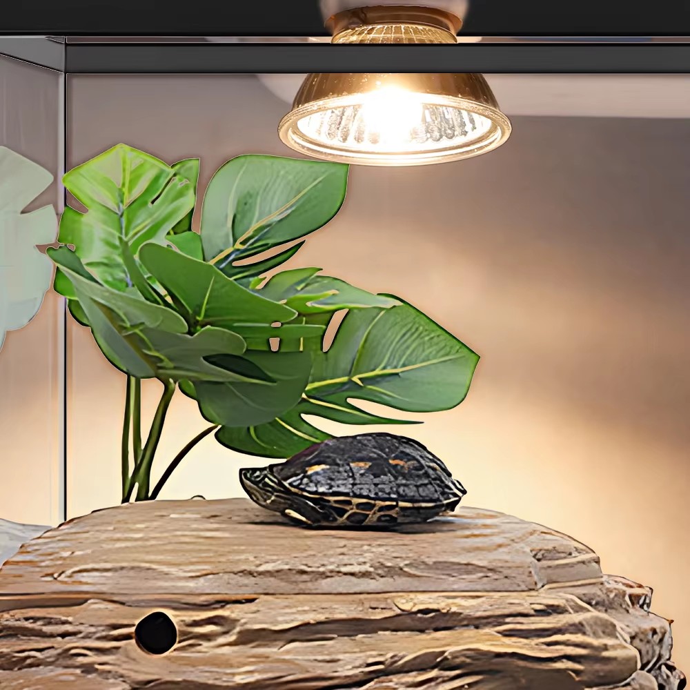 25W/75W/100W Full Spectrum UVA - Calcium Powder Reptile avaliação e preço