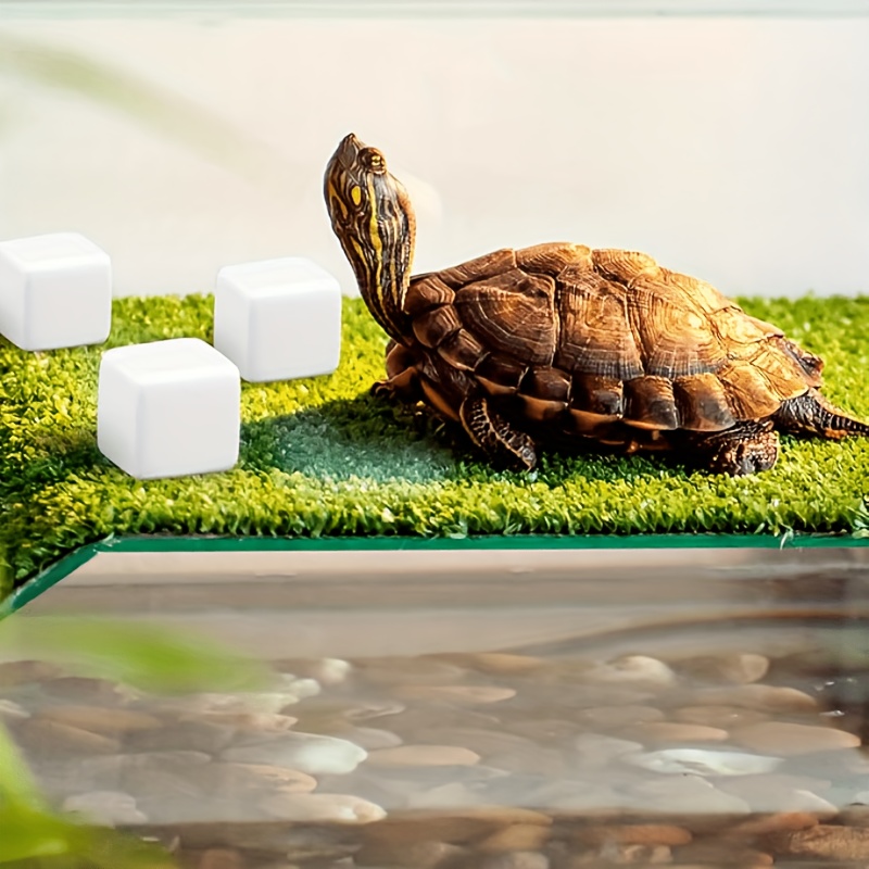 6 Pcs Fish Tank Calcium Block  - Calcium Powder Reptile avaliação e preço