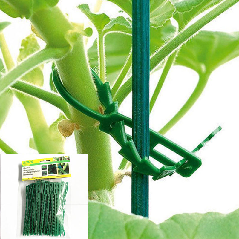 13cm Adjustable Plastic Plant  - Vine Climbing Plastic avaliação e preço
