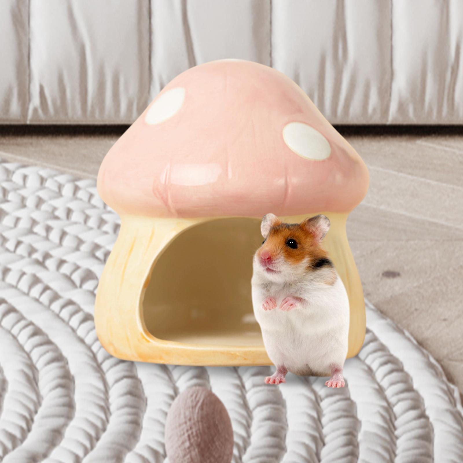 Ceramic Mushroom Hamster Hideo - Hide Cave Ceramic avaliação e preço