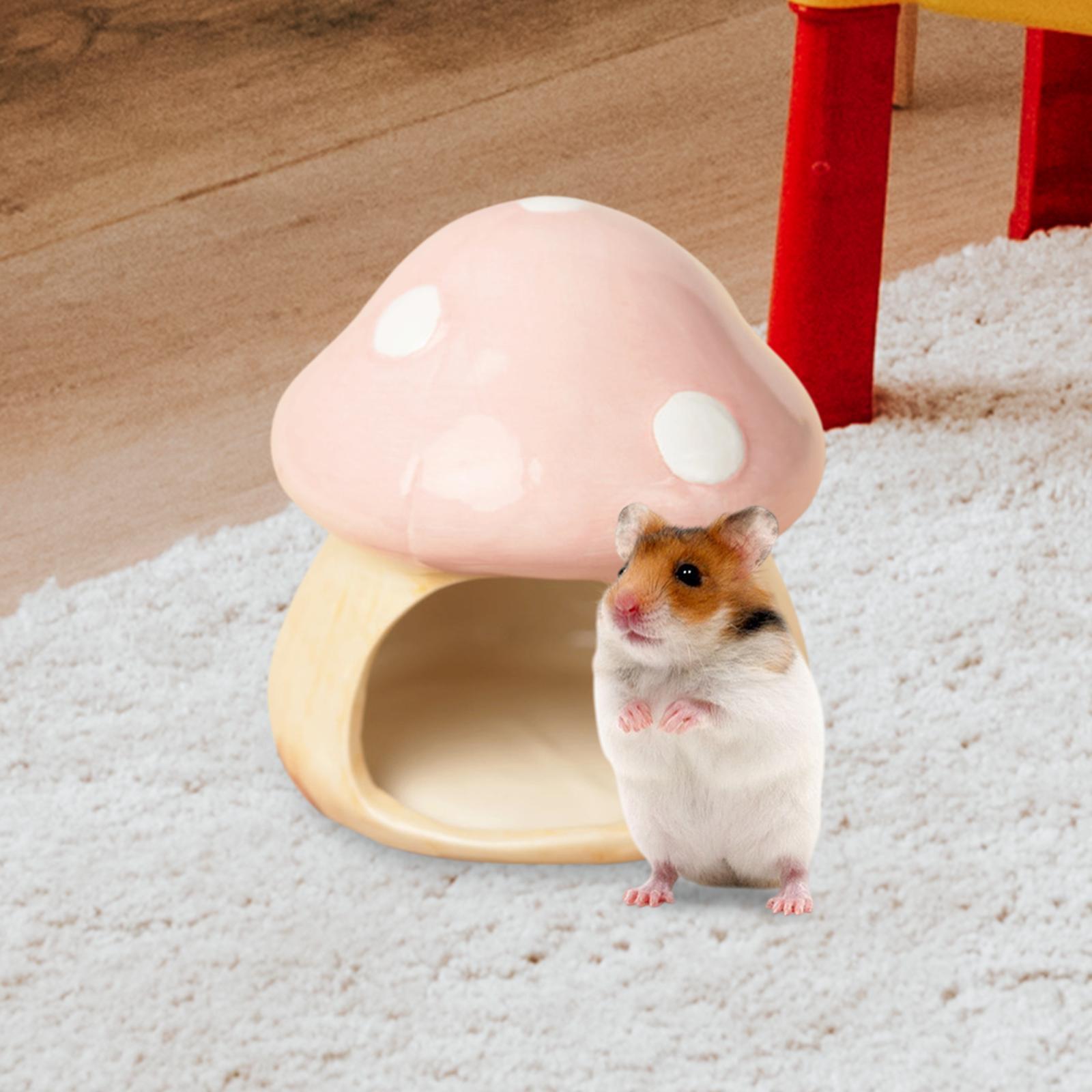 Ceramic Mushroom Hamster Hideo - Hide Cave Ceramic avaliação e preço