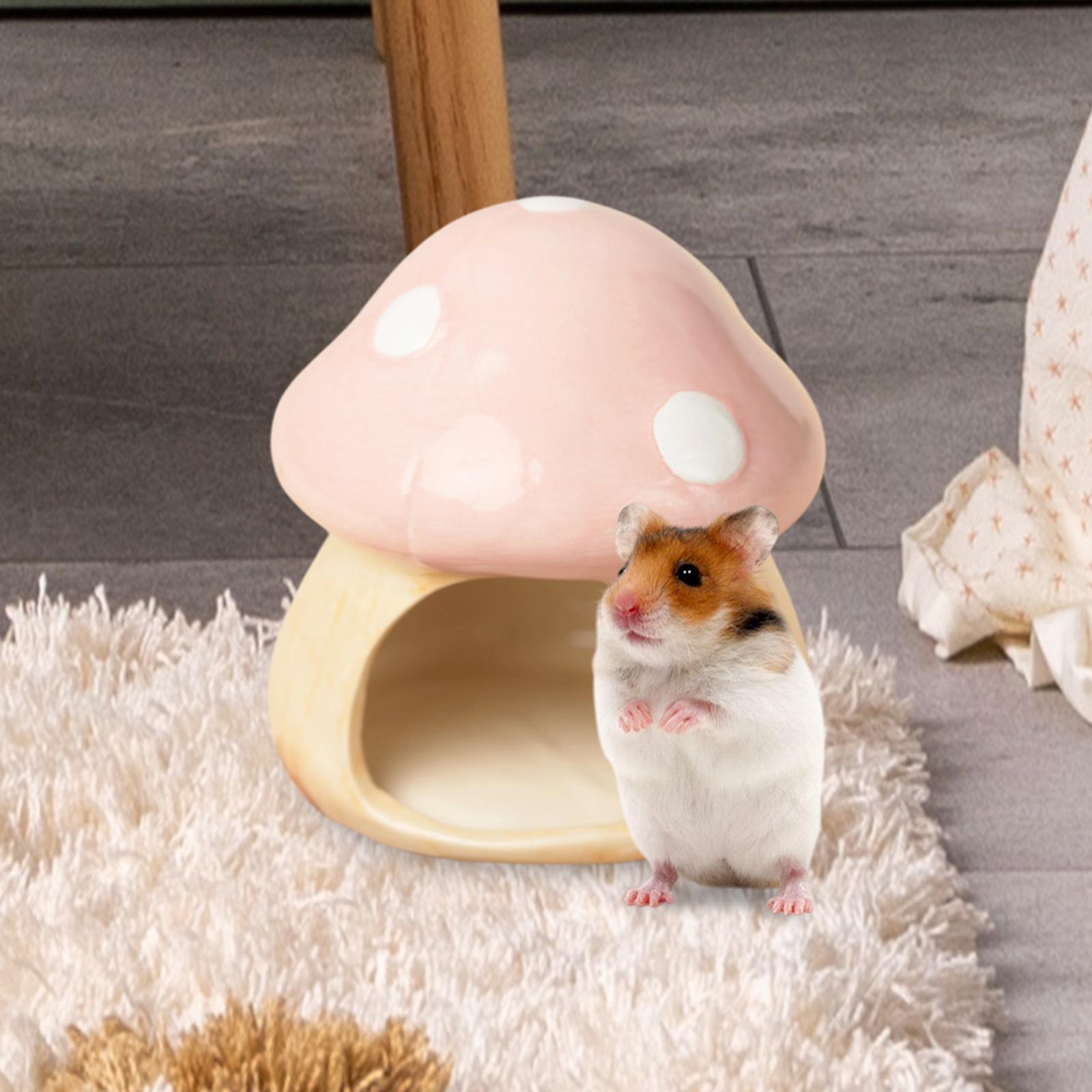 Ceramic Mushroom Hamster Hideo - Hide Cave Ceramic avaliação e preço